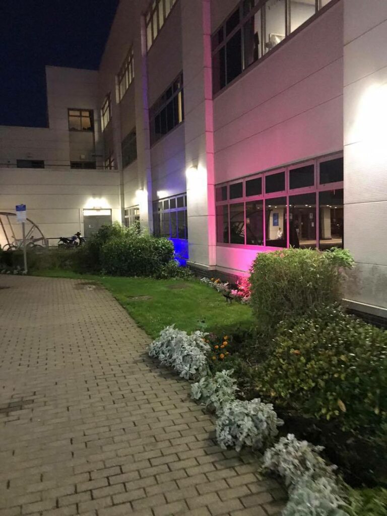 The Women and Children's Hospital lit with blue and pink lights