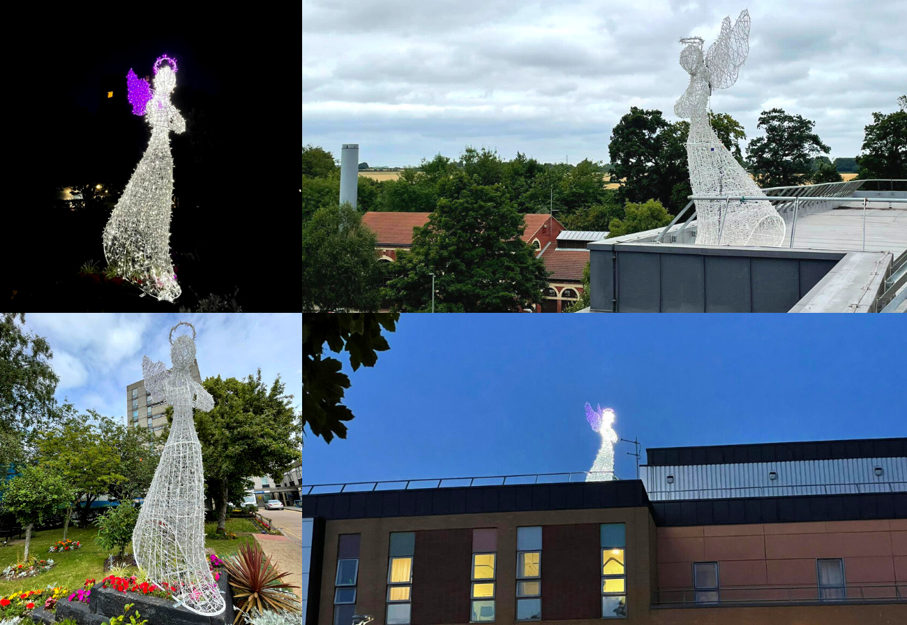 Angel statues situated across Hull Royal Infirmary and Castle Hill Hospital